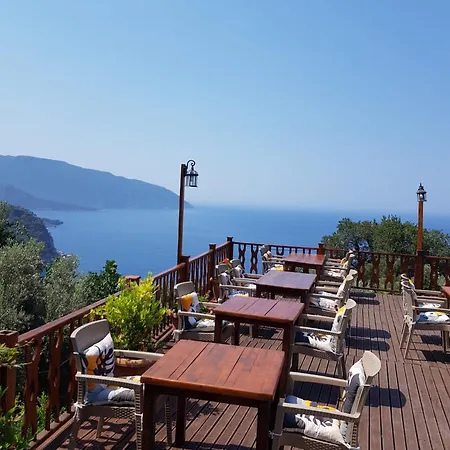 Kabak Armes *