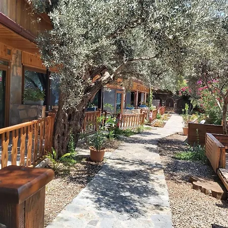 Bed & Breakfast Kabak Armes *